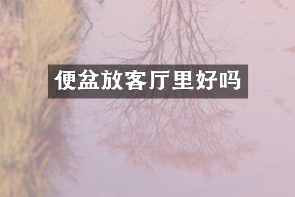 便盆放客厅里好吗
