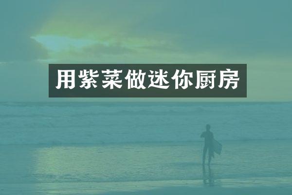 用紫菜做迷你厨房