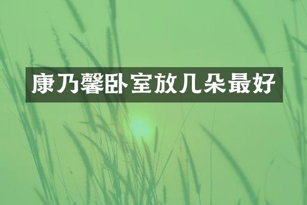 康乃馨卧室放几朵最好