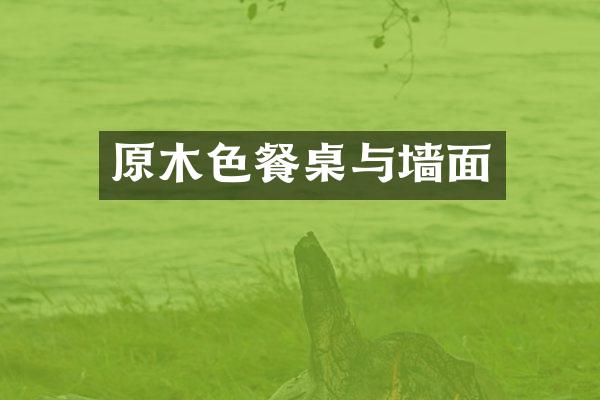 原木色餐桌与墙面