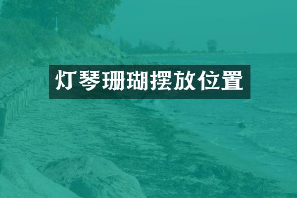灯琴珊瑚摆放位置