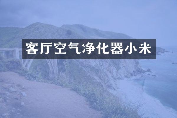 客厅空气净化器小米