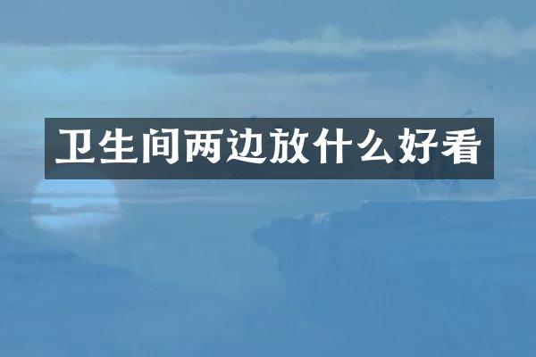 卫生间两边放什么好看