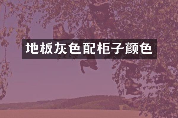 地板灰色配柜子颜色