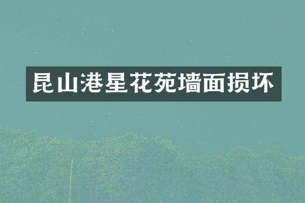 昆山港星花苑墙面损坏