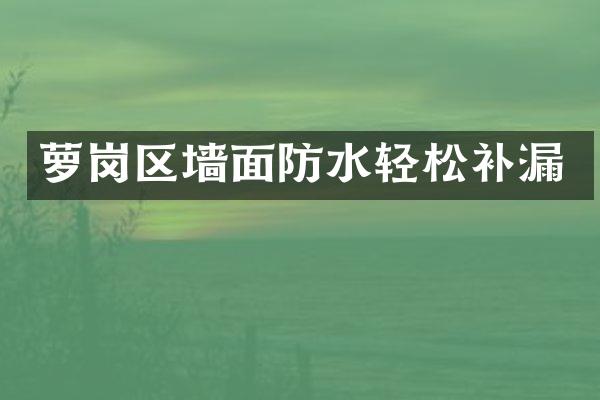萝岗区墙面防水轻松补漏