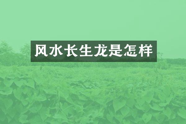 风水长生龙是怎样