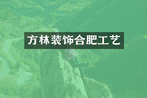 方林装饰合肥工艺
