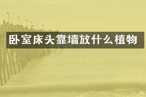 卧室床头靠墙放什么植物