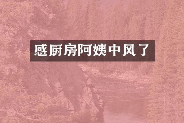感厨房阿姨中风了