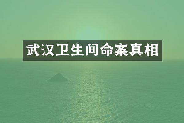 武汉卫生间命案真相
