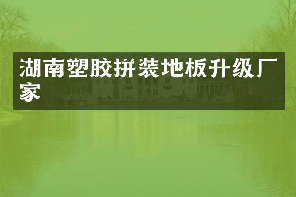 湖南塑胶拼装地板升级厂家