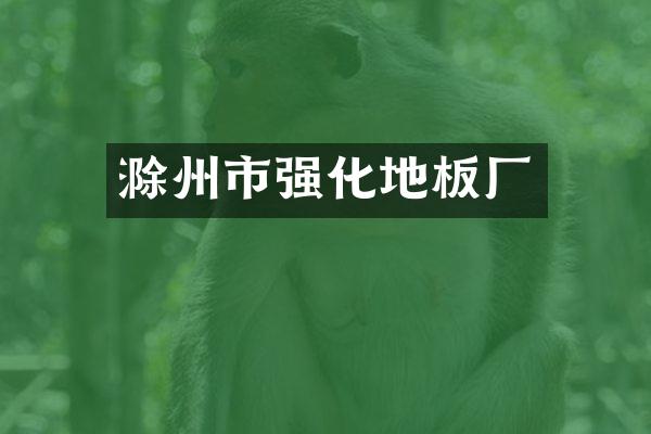 滁州市强化地板厂