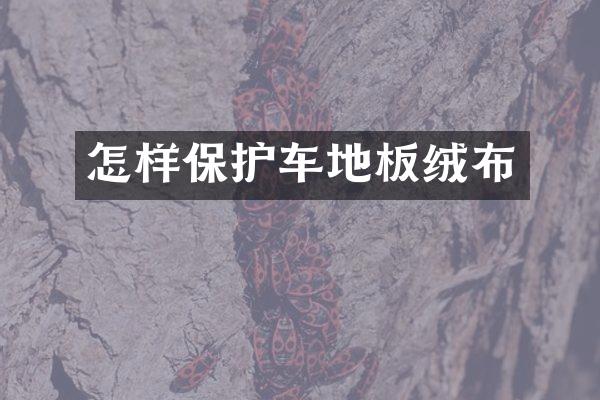 怎样保护车地板绒布