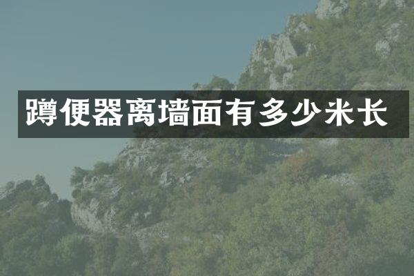 蹲便器离墙面有多少米长