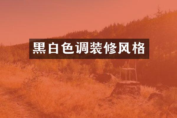 黑白色调装修风格