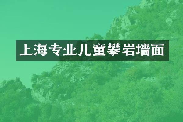 上海专业儿童攀岩墙面