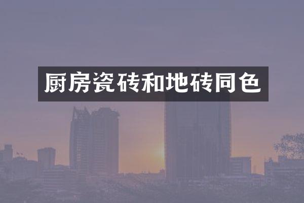 厨房瓷砖和地砖同色