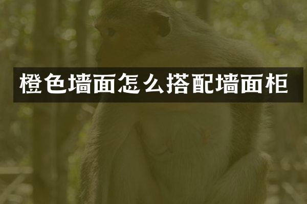 橙色墙面怎么搭配墙面柜