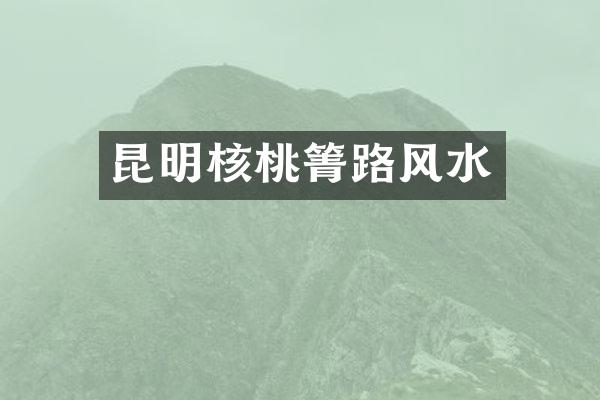 昆明核桃箐路风水