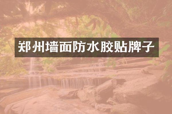 郑州墙面防水胶贴牌子