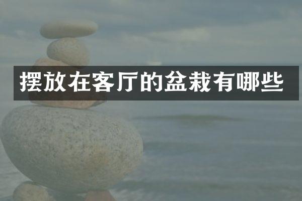 摆放在客厅的盆栽有哪些