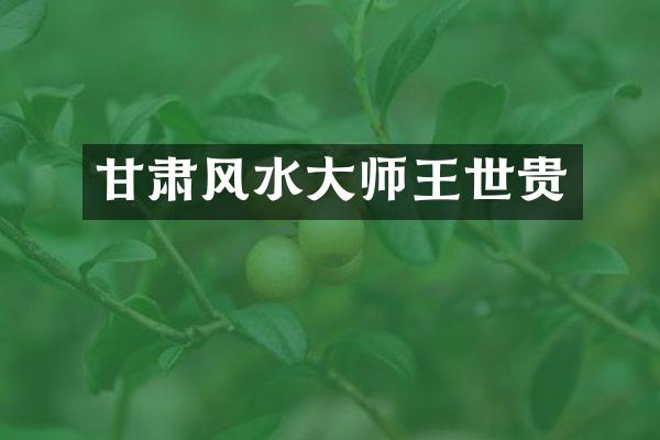 甘肃风水大师王世贵