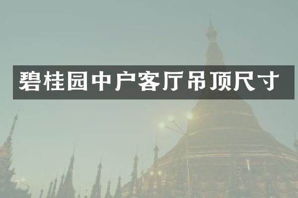 碧桂园中户客厅吊顶尺寸