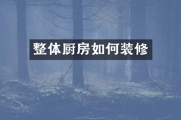 整体厨房如何装修