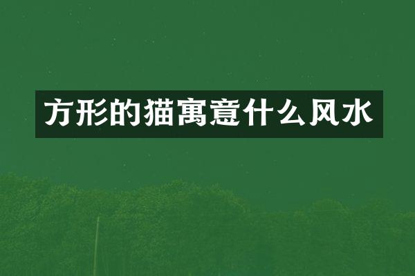 方形的猫寓意什么风水
