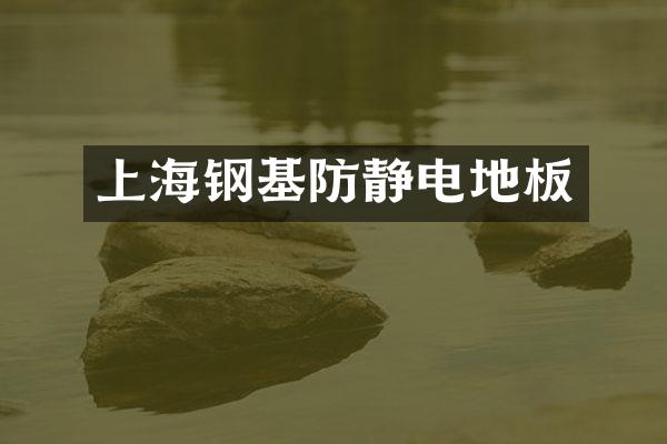 上海钢基防静电地板