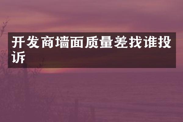 开发商墙面质量差找谁投诉