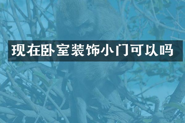 现在卧室装饰小门可以吗