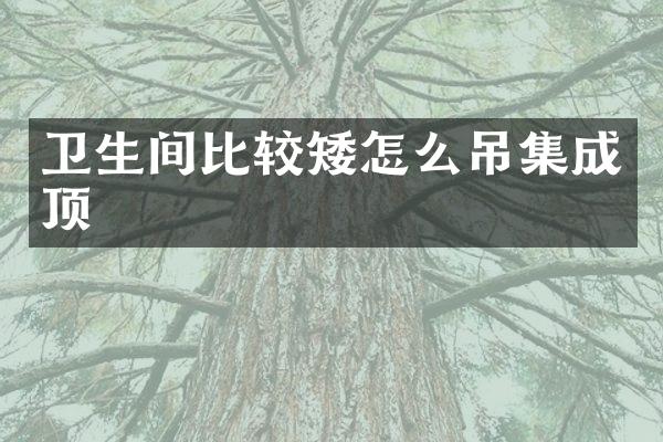 卫生间比较矮怎么吊集成顶