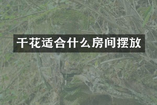 干花适合什么房间摆放