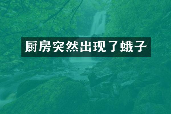 厨房突然出现了蛾子