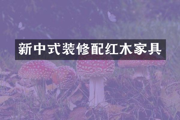新中式装修配红木家具