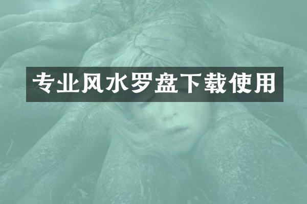 专业风水罗盘下载使用