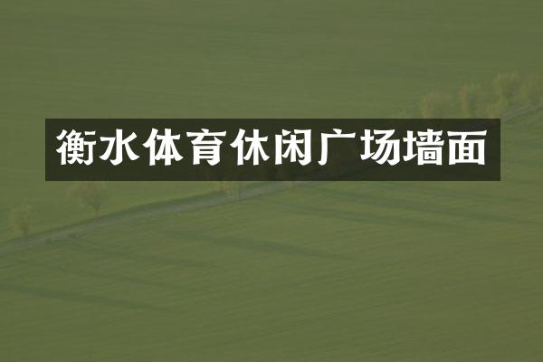 衡水体育休闲广场墙面