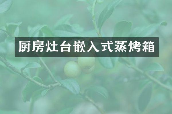 厨房灶台嵌入式蒸烤箱