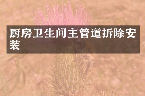 厨房卫生间主管道拆除安装