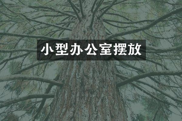 小型办公室摆放