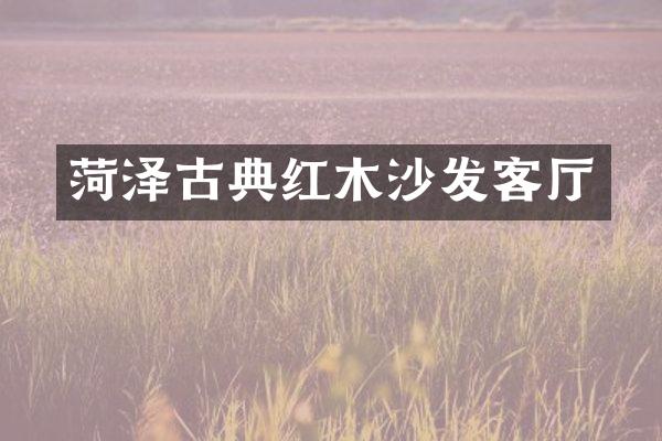 菏泽古典红木沙发客厅