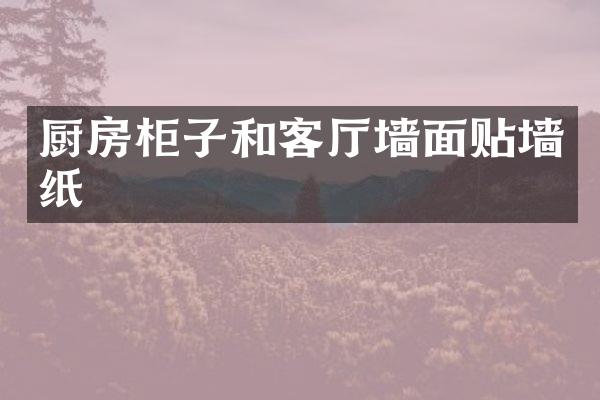 厨房柜子和客厅墙面贴墙纸