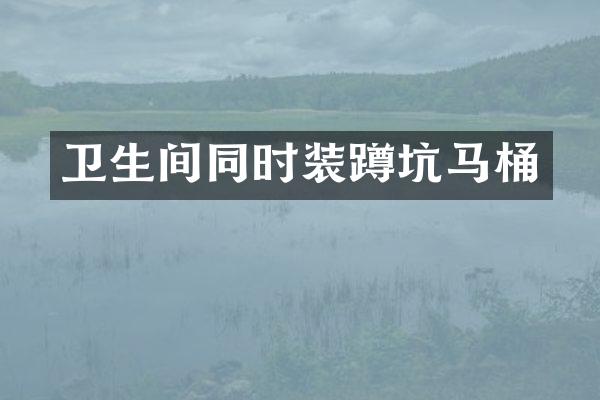 卫生间同时装蹲坑马桶