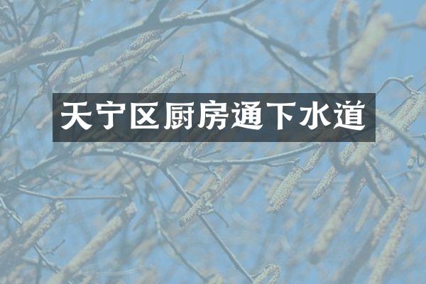 天宁区厨房通下水道
