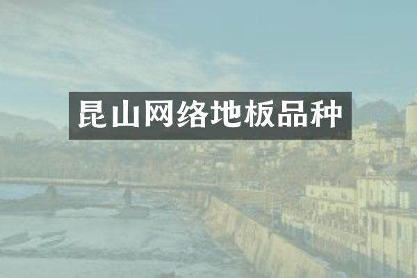 昆山网络地板品种