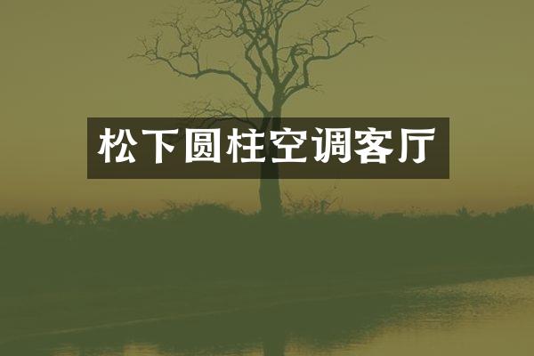 松下圆柱空调客厅