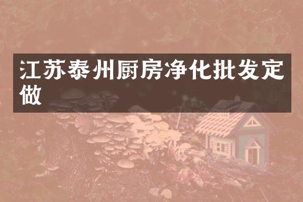 江苏泰州厨房净化批发定做