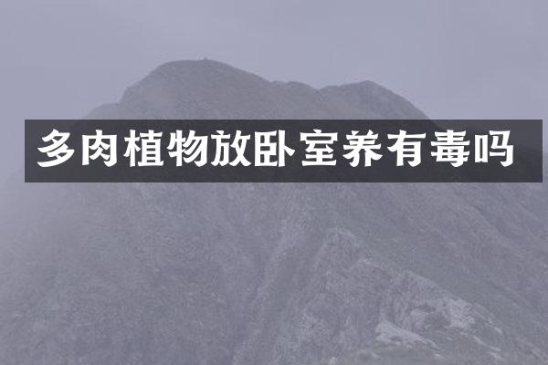 多肉植物放卧室养有毒吗